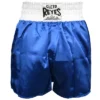 Cleto Reyes Women's Satin Polyester Boxing Skirt Trunks - Blue/White -Mizuno Shop GUEST 40cd019e 6d04 49f4 be1c d9bddd56e129