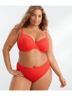 Elomi Women's Plus Bazaruto Plunge Underwire Bikini Top - ES800602 29 Elomi Women's Plus Bazaruto Plunge Underwire Bikini Top - ES800602 -Mizuno Shop GUEST d1421d30 8f23 4ded a3dd 64d46c17d71f