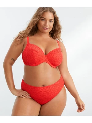 Elomi Women's Plus Bazaruto Plunge Underwire Bikini Top - ES800602 16 Elomi Women's Plus Bazaruto Plunge Underwire Bikini Top - ES800602 - Image 14